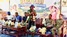 Panen Agrosolution Di Gowa, Kolaborasi PKT (Pupuk Kalimantan Timur) dan Petani di Kab. gowa