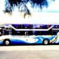 Bus Bintang Timur
